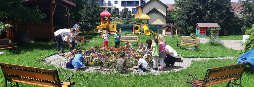 Grădinița Cu Program Prelungit Nr.6 Bistrița