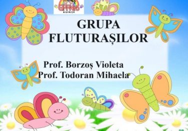 Protejat: Planificare Grupa Fluturașilor