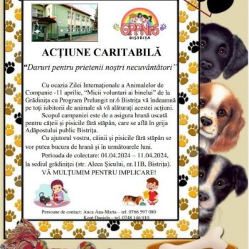 PROIECT EDUCATIV „Micii voluntari ai binelui”