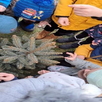 Proiect de activitate Lacatus Ildiko Rozalia G.P.P.6