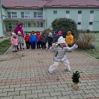 Proiect de activitate Lacatus Ildiko Rozalia G.P.P.6